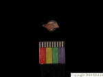 L_V23d3947 J4q196.1 U912 dM la f86